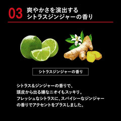 Angfa Scalp D Next Protein 5 Oily Shampoo