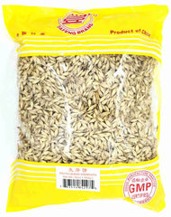 Fructus Hordei Germinatus