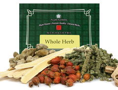 人参(麒麟红)- 小的、未硫化的人参根 - 红色