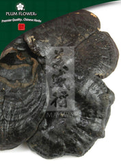 Ling Zhi (Hei), unsulfured Ganoderma sinense fungus