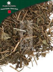 海金沙草,未硫化的海金沙草