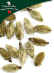 Xin Yi Hua, unsulfured Magnolia denudata flower