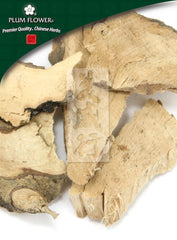 毛冬青,未硫化的毛冬青根