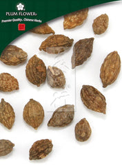 益智仁,未硫化的益智仁果