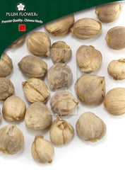 白豆蔻,未硫化的砂仁果实