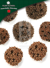 泸泸桐,无硫枫香果实