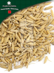 谷芽,未硫化稻果实