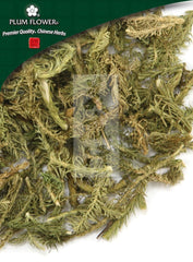 参金草,未硫化的石松草本植物