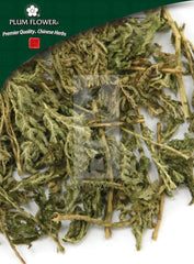 石尚白,未硫的深蓝卷柏草本