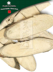 南板蓝根,未硫化的南板蓝根