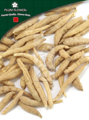 太子参,未硫化的太子参根