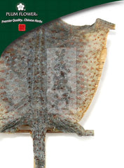 葛杰,未硫化的壁虎