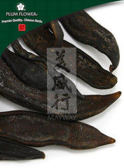 水芝,未硫化的日本医蛭