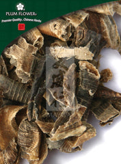 地龙,未硫化的曲毛地龙