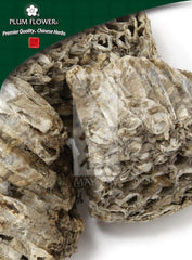 冯芳,未硫化的马来马蜂