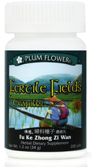 沃田茶丸妇科种子丸