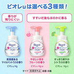 Kao Hand Wash Biore Instant Foaming Hand Wash (Fruity)