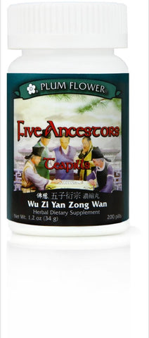 Five Ancestors Teapills Wu Zi Yan Zong Wan