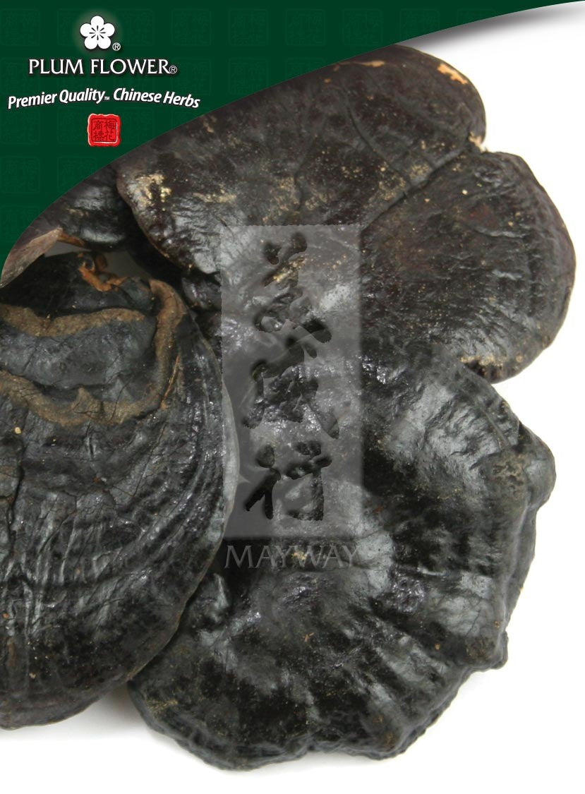 Ling Zhi (Hei), unsulfured Ganoderma sinense fungus