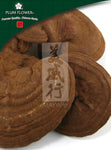 Ling Zhi (Hong), unsulfured Ganoderma lucidum fungus