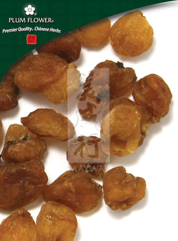 Long Yan Rou Dimocarpus longan fruit