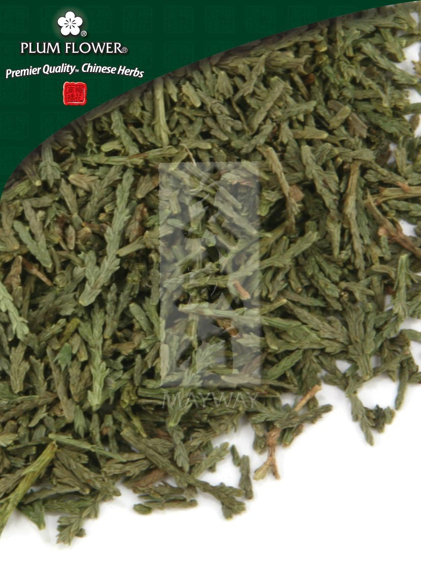 Ce Bai Ye, unsulfured Platycladus orientalis twig & leaf