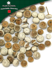 Gu Jing Cao, unsulfured Eriocaulon buergerianum flower
