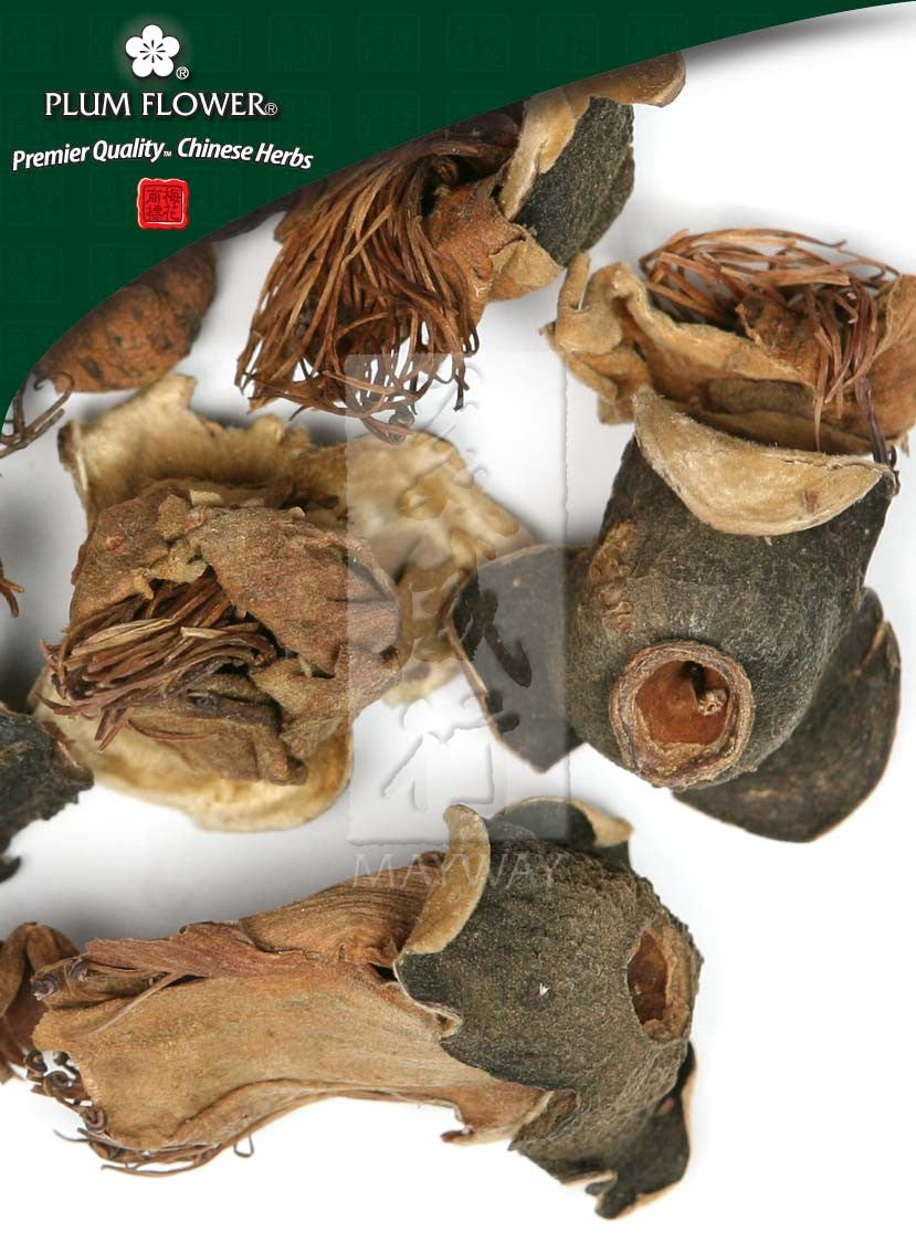 Mu Mian Hua, unsulfured Gossampinus malabarica flower