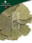 Yin Xing Ye, unsulfured Ginkgo biloba leaf