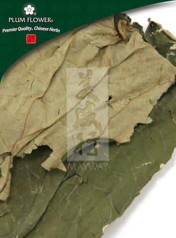 He Ye, unsulfured Nelumbo nucifera leaf