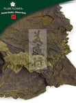 Zi Su Ye, unsulfured Perilla frutescens leaf