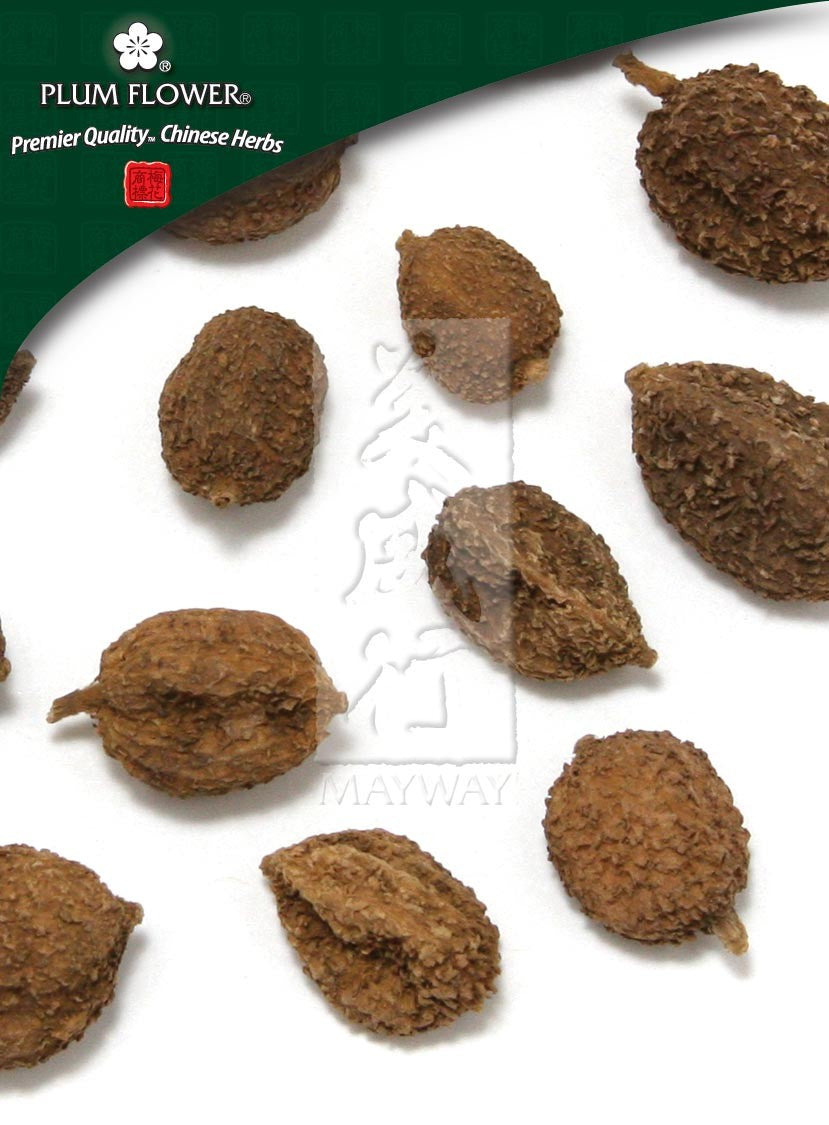 Sha Ren, unsulfured Amomum villosum fruit