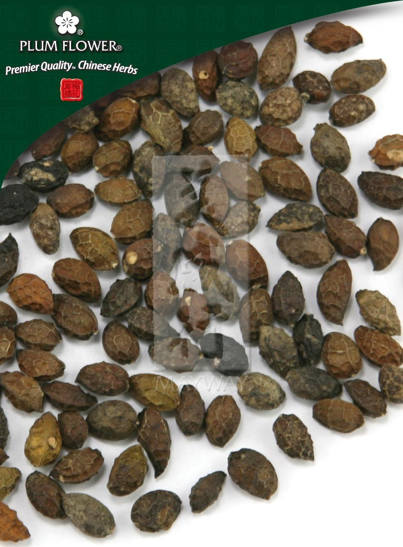 Ya Dan Zi, unsulfured Brucea javanica fruit