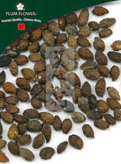 Ya Dan Zi, unsulfured Brucea javanica fruit