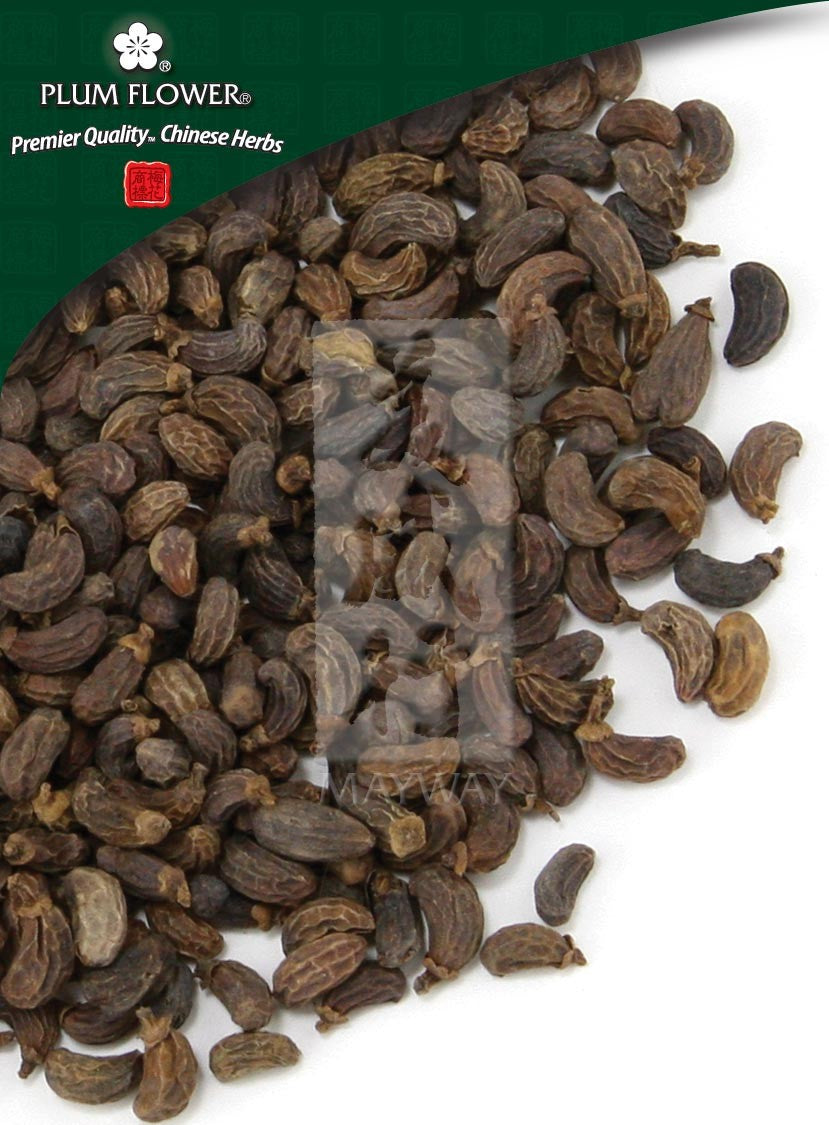 Nu Zhen Zi, unsulfured Ligustrum lucidum fruit