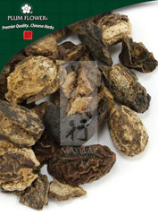 He Zi, unsulfured Terminalia chebula fruit