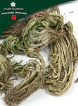 Juan Bai, unsulfured Selaginella involvens herb