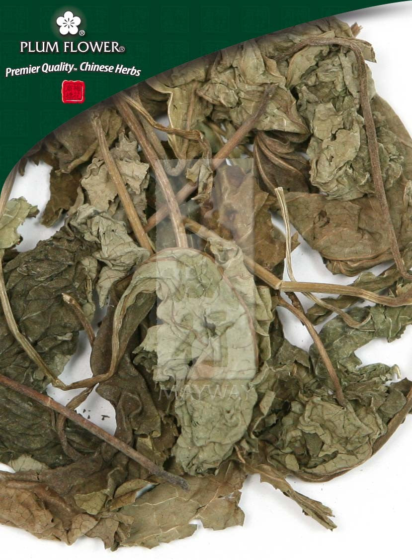 Chou Wu Tong, unsulfured Clerodendrum trichotomum herb