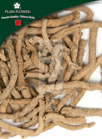 Yuan Zhi- Medium, unsulfured Polygala tenuifolia root