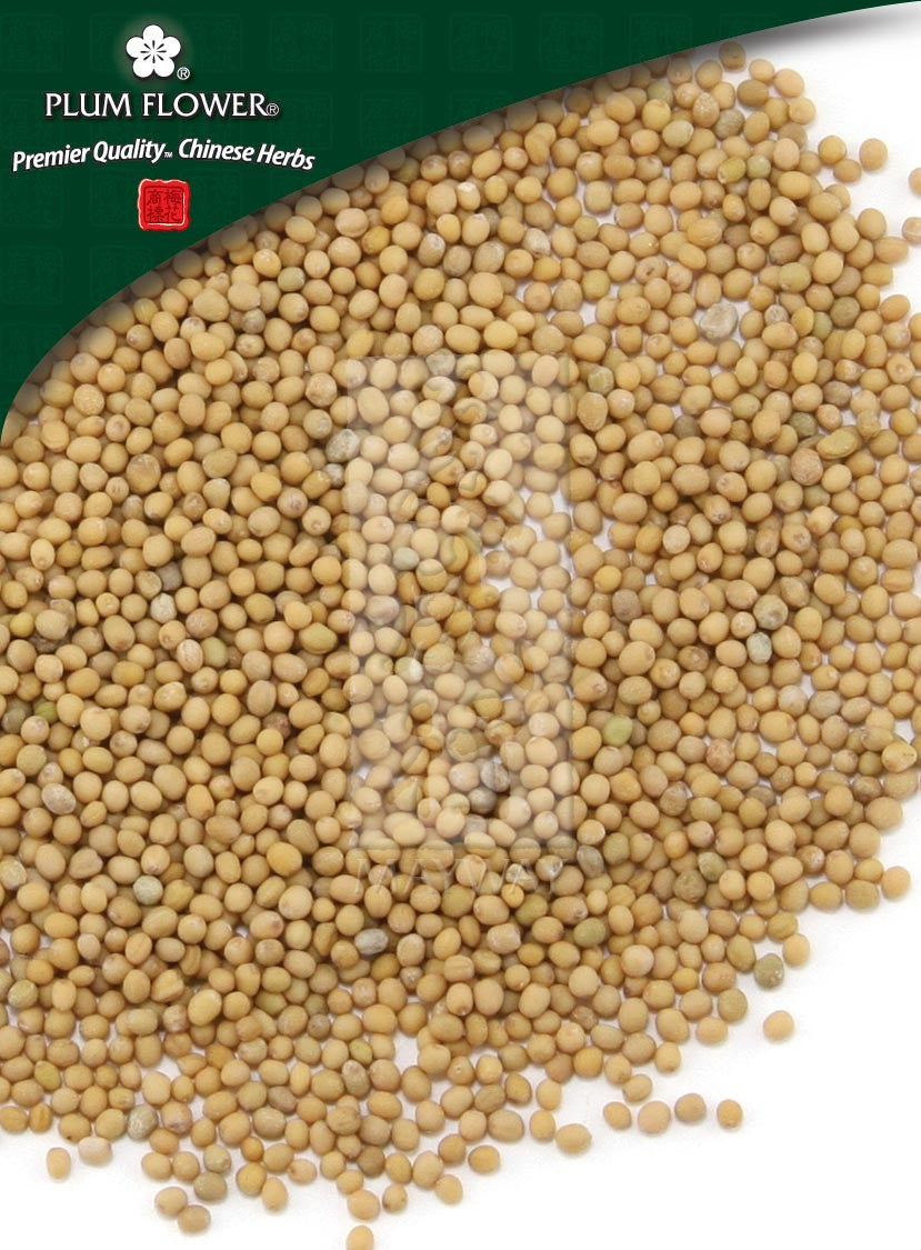 Bai Jie Zi, unsulfured Sinapis alba seed