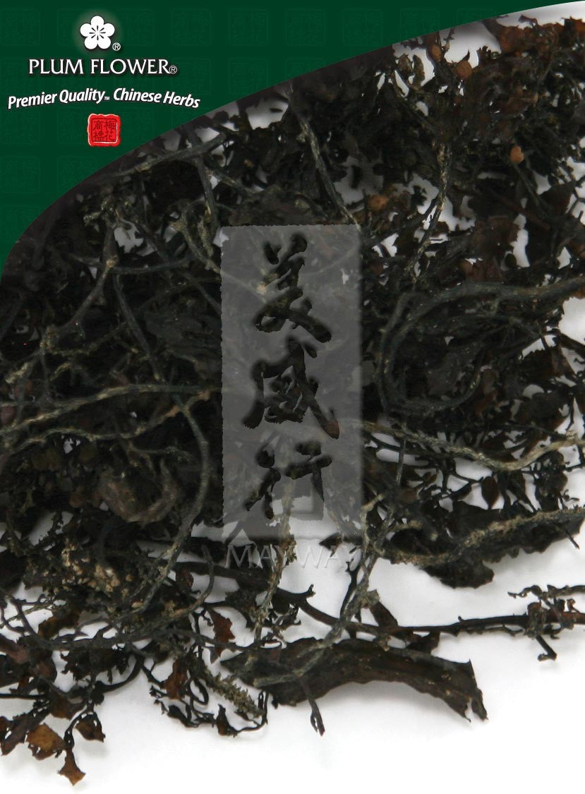 Hai Zao, unsulfured Sargassum pallidum herb